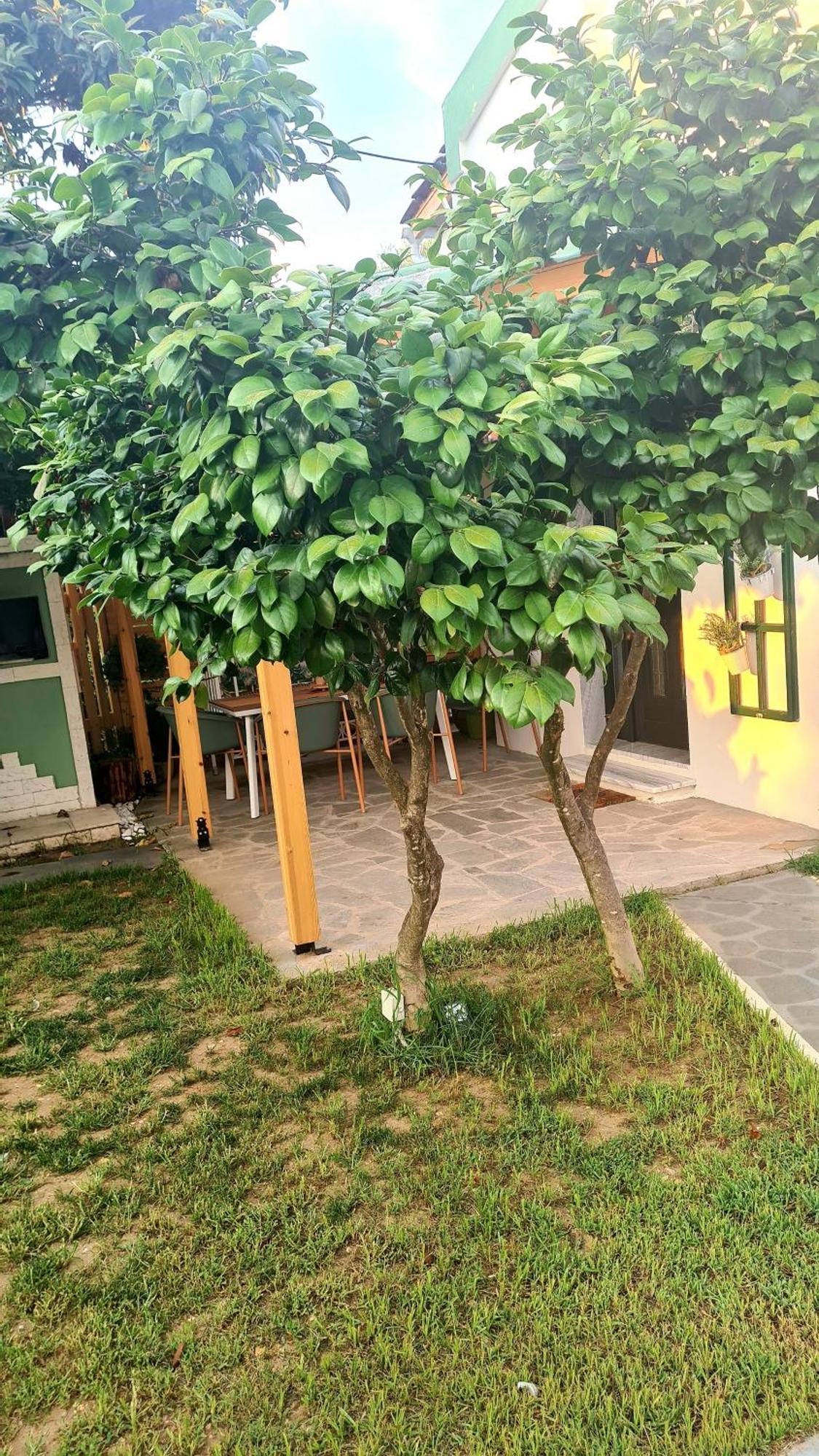 Lamprini'S Deluxe Studios Limenas (Thasos) Exterior foto